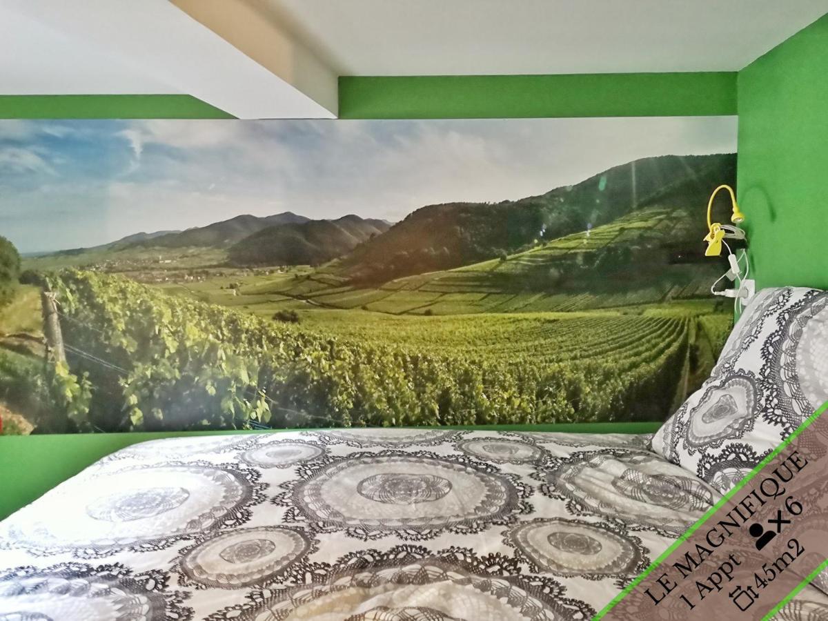 Splendide Appartement Barr - Route Du Vins Esterno foto