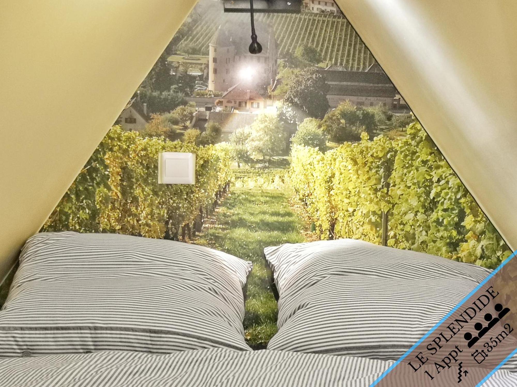 Splendide Appartement Barr - Route Du Vins Camera foto